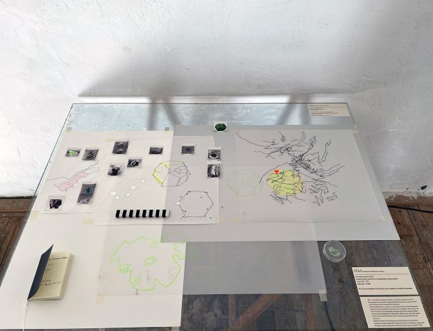 artwork-installationview of table with several artifacts and fictional scientific research by Karin Lingnau